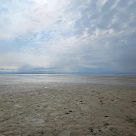 度假居 Luxury Retreat In Romo - By Traum Sønderby