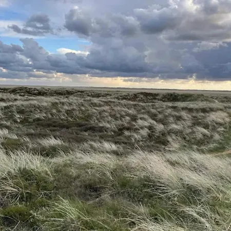 Luxury Retreat In Romo - By Traum 度假居 *