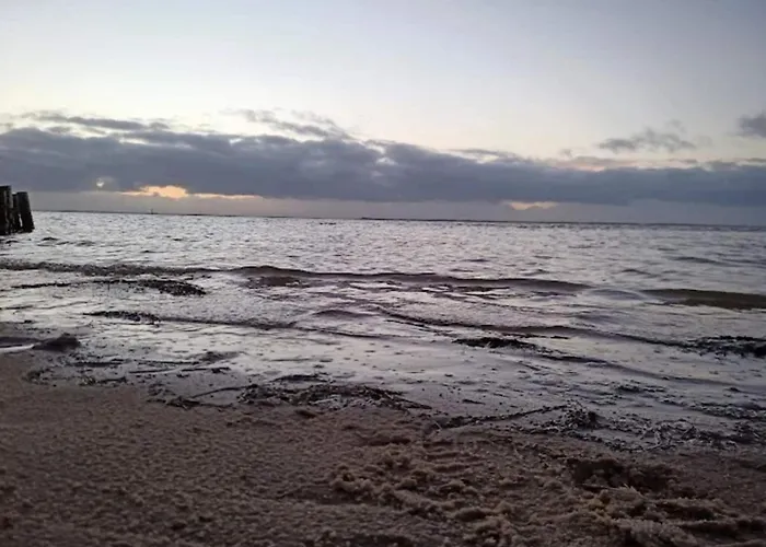 Luxury Retreat In Romo - By Traum * Sønderby