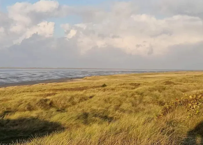 Luxury Retreat In Romo - By Traum Prázdninový dům