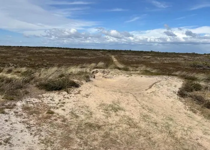 Luxury Retreat In Romo - By Traum Prázdninový dům Sønderby