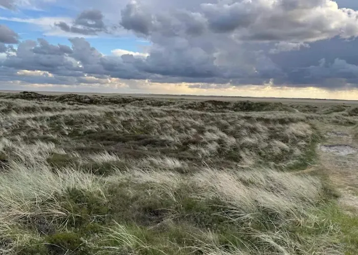 Luxury Retreat In Romo - By Traum Prázdninový dům *