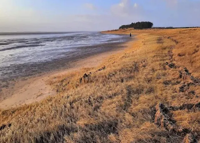 Luxury Retreat In Romo - By Traum Prázdninový dům *